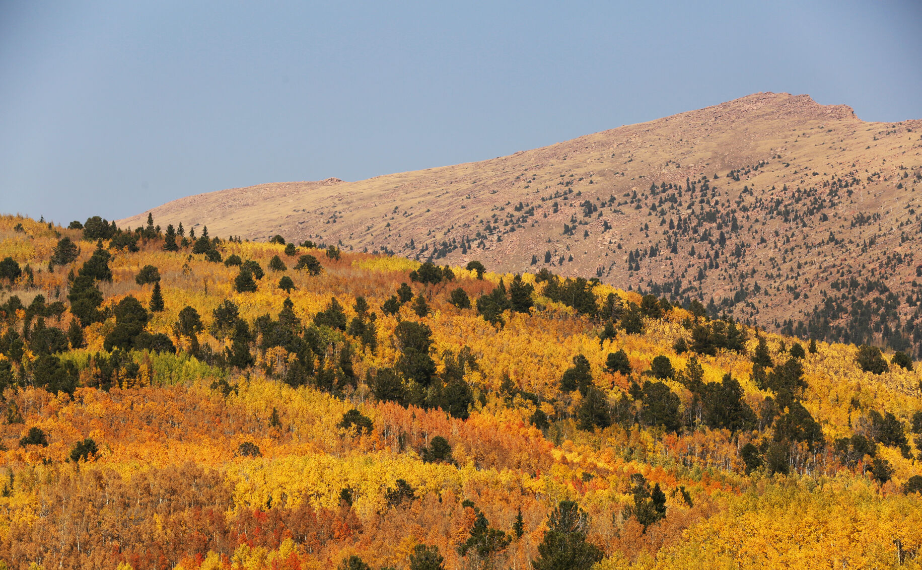 093020-news-aspens 2.JPG